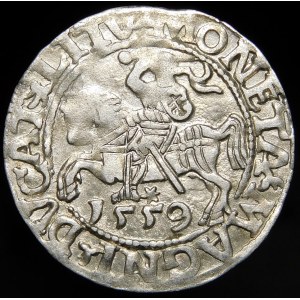 Sigismund II Augustus, Half-penny 1559, Vilnius - L/LITV - large 9 - rare
