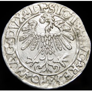 Sigismund II Augustus, Half-penny 1559, Vilnius - LI/LITV - rare