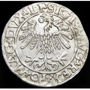 Zygmunt II August, Półgrosz 1559, Wilno - LI/LITV - rzadki