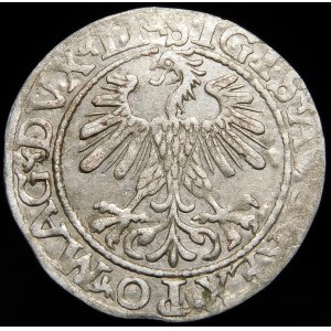 Zygmunt II August, Półgrosz 1560, Wilno - DVX LI/LITV