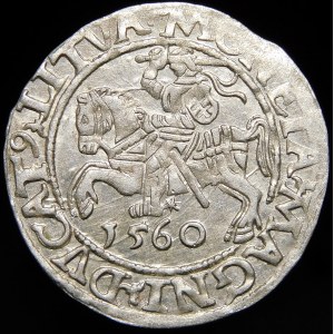 Sigismund II Augustus, Half-penny 1560, Vilnius - DVX L/LITVA