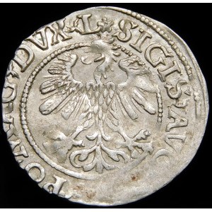 Žigmund II August, polgroš 1560, Vilnius - DVX L/LITV - 2 rozety - veľmi vzácne