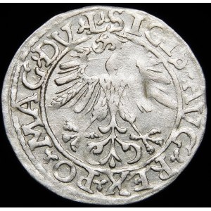 Sigismund II Augustus, Half-penny 1561, Vilnius - 14 Eagle, DV L/LITVA - rare