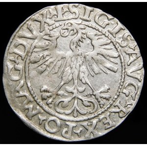 Zygmunt II August, Półgrosz 1561, Wilno - 14 Orzeł, L/LITV
