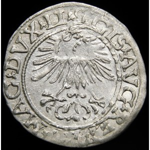Zygmunt II August, Półgrosz 1561, Wilno - 14 Orzeł, LI/LITV