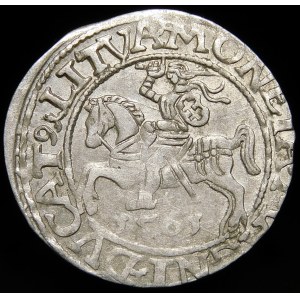 Zygmunt II August, Półgrosz 1561, Wilno - 14 Orzeł, LI/LITVA
