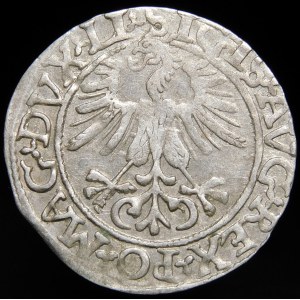 Sigismund II Augustus, Half-penny 1561, Vilnius - 14 Eagle, LI/LITVA