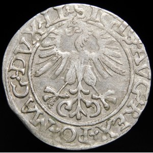 Zygmunt II August, Półgrosz 1561, Wilno - 14 Orzeł, LI/LITVA