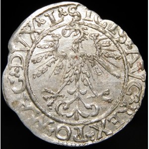 Zygmunt II August, Półgrosz 1562, Wilno - 17 Pogoń, L/LITV