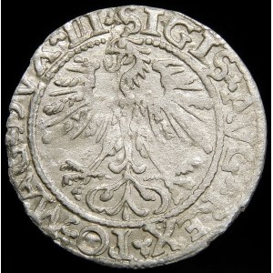 Zygmunt II August, Półgrosz 1562, Wilno - 17 Pogoń, LI/LITVA