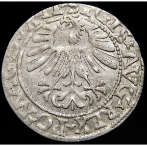 Žigmund II August, Polovičný groš 1562, Vilnius - 18 Pogoń, LI/LITVA