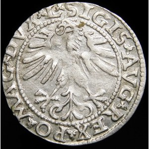 Žigmund II August, Polovičný groš 1563, Vilnius - 19 Pogoń, sekera, DVX L/LITV