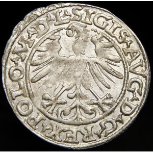Sigismund II Augustus, Half-penny 1563, Vilnius - 20 Pogon, Axe, M D L/LITV