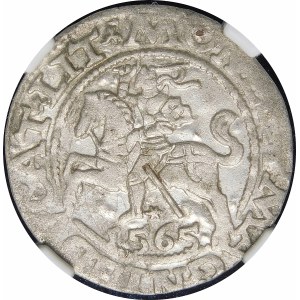 Sigismond II Auguste, Demi-penny 1565, Vilnius - 22 Pogoń, Hache, L/LIT - rare