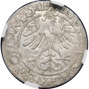 Sigismond II Auguste, Demi-penny 1565, Vilnius - 22 Pogoń, Hache, L/LIT - rare
