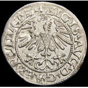 Zygmunt II August, Półgrosz 1565, Wilno - piękny destrukt