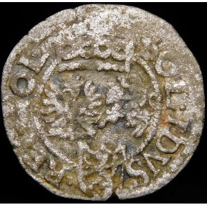 Zygmunt III Waza, Szeląg 1601 F, Wschowa - rzadki