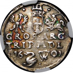 Sigismondo III Vasa, Trojak 1601, Vilnius - Cigno - raro