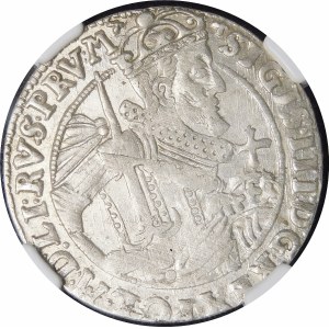 Zygmunt III Waza, Ort 1623, Bydgoszcz - PRV M - pałąki, bez rozet
