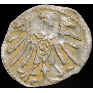 Ducal Prussia, Albrecht Hohenzollern, Denarius without date, Königsberg