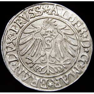 Prusy Książęce, Albrecht Hohenzollern, Grosz 1537, Królewiec