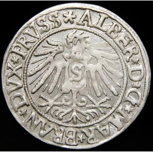 Prusy Książęce, Albrecht Hohenzollern, Grosz 1538, Królewiec