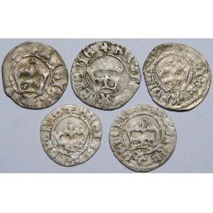 John I Olbracht, Half-penny Cracow - Eagles - set (item 5)