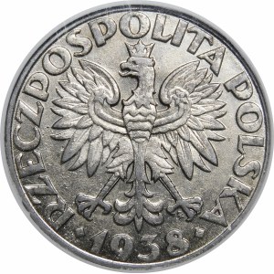 50 pennies 1938 nickel-plated