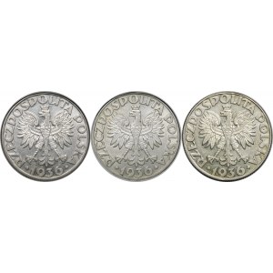 Zestaw 5 złotych Żaglowiec 1936 - 3 sztuki