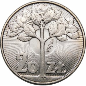 Vzorka 20 zlatý strom 1973 - meď-nikel