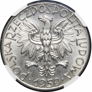 PRÓBA NIKIEL 5 ZŁOTYCH 1959 Rybak