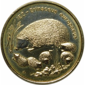 2 Gold 1996 Hedgehogs