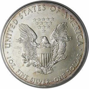 USA, 1 dolár 2008, American Eagle