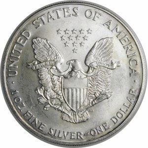 USA, 1 dolar 2000, American Eagle