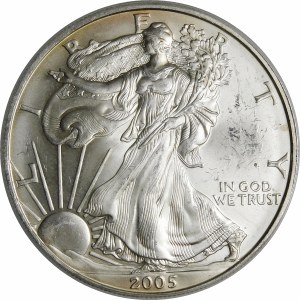 USA, 1 dolár 2005, American Eagle