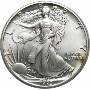 USA, 1 dolar 1989, American Eagle