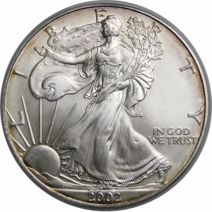 USA, 1 dolár 2002, American Eagle