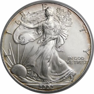 USA, 1 dolar 2002, American Eagle