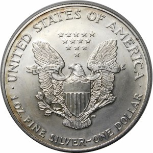 USA, 1 dolar 2002, American Eagle