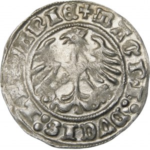 Sigismund I. der Alte, Halbpfennig 1512, Wilna - Doppelpunkt