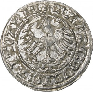 Sigismund I. der Alte, Halber Pfennig 1512, Vilnius - destrukt