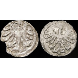 Aleksander Jagiellończyk, Denar Wilno - odmiany - zestaw (szt. 2)