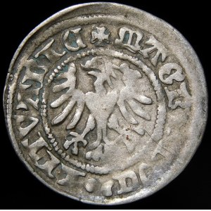 Alexander Jagellonský, Vilnius půlpenny - tečka - vzácné