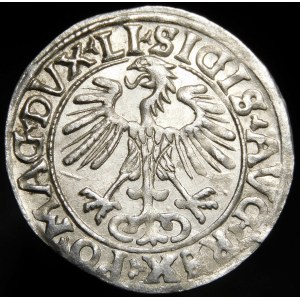 Sigismund II Augustus, Half-penny 1556, Vilnius - LI/LITVA - beautiful