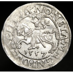 Zygmunt II August, Półgrosz 1557, Wilno - LI/LITVA