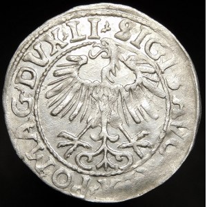 Zygmunt II August, Półgrosz 1557, Wilno - LI/LITVA