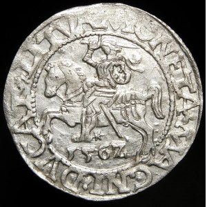 Sigismund II Augustus, Half-grosz 1562, Vilnius - 17 Pogon, LI/LITVA