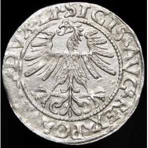 Sigismund II Augustus, Half-grosz 1562, Vilnius - 17 Pogon, LI/LITVA
