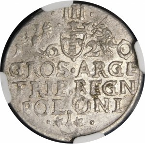 Zygmunt III Waza, Trojak 1620, Kraków - ciekawostka - ilustrowany i piękny