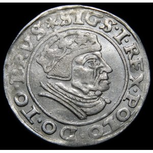 Sigismund I the Old, 1539 penny, Gdansk - PRVS
